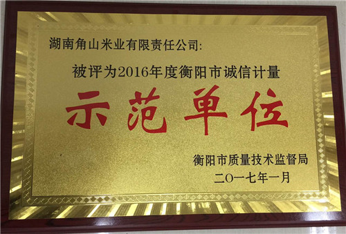 我公司荣获2016年度“衡阳市诚信计量示范单位”