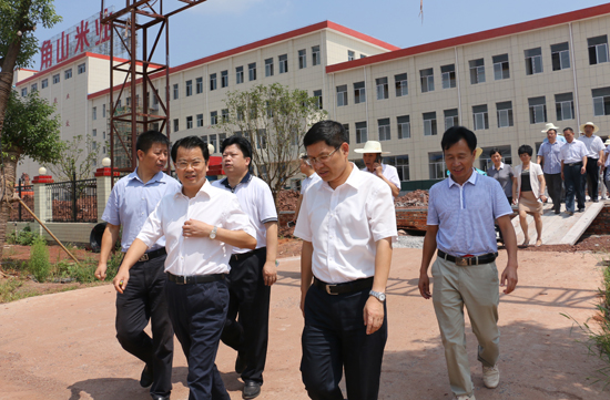 衡南县党政代表团一行到公司参观