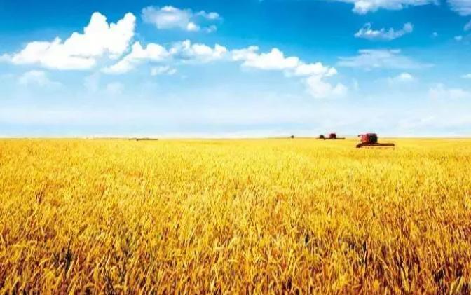 角山米业与衡粮集团签署合作协议