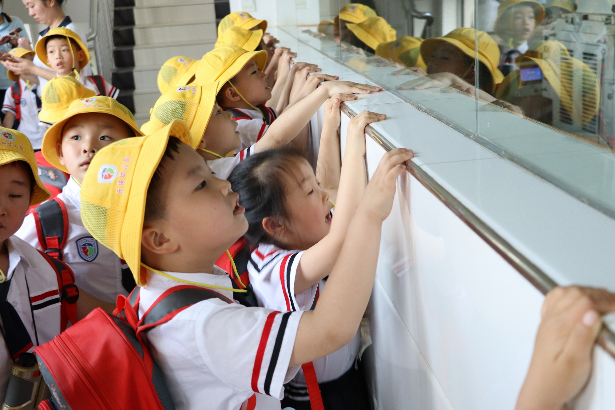揭秘了！来看看人类幼崽眼中的“我”