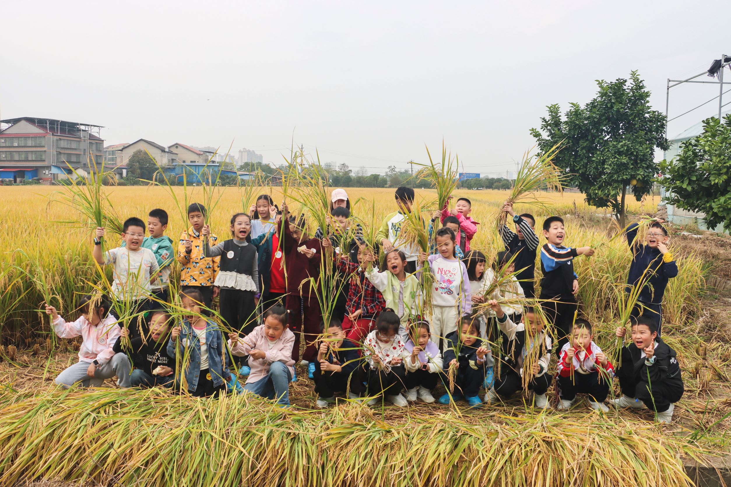 “稻”梦特种兵，打卡成功！