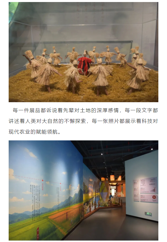 企业微信截图_17521977652260.png