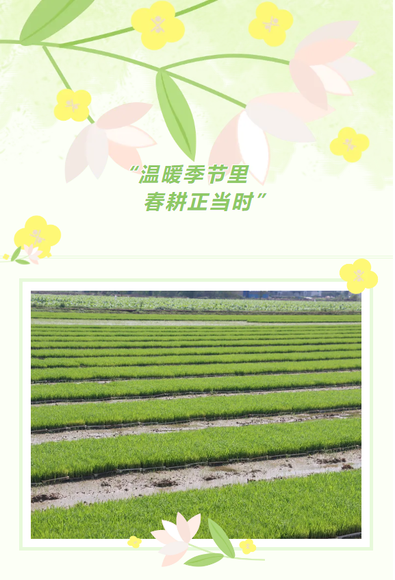 企业微信截图_17770762755311.png