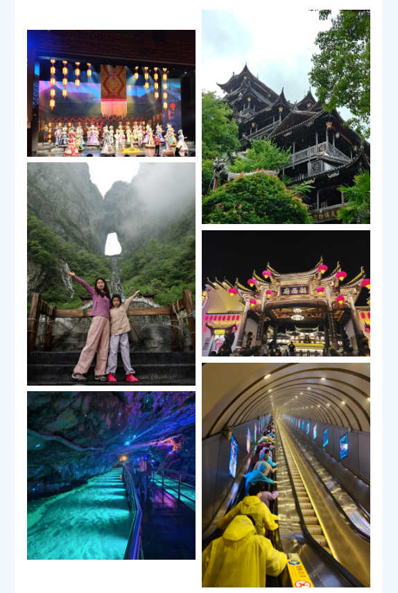 企业微信截图_17791492165388.png